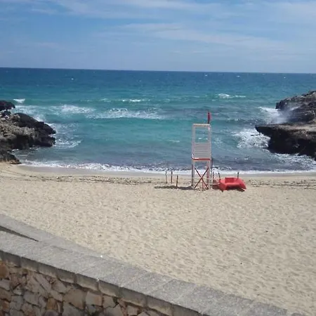 Levante *